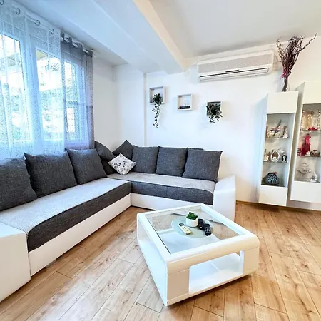 Rose, Centar זאדאר