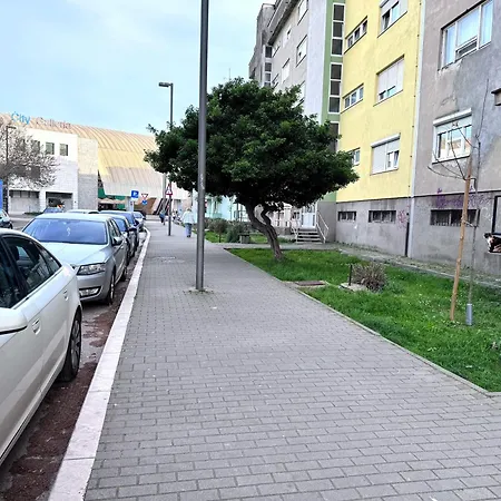 Rose, Centar דירה זאדאר