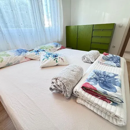 Rose, Centar * זאדאר